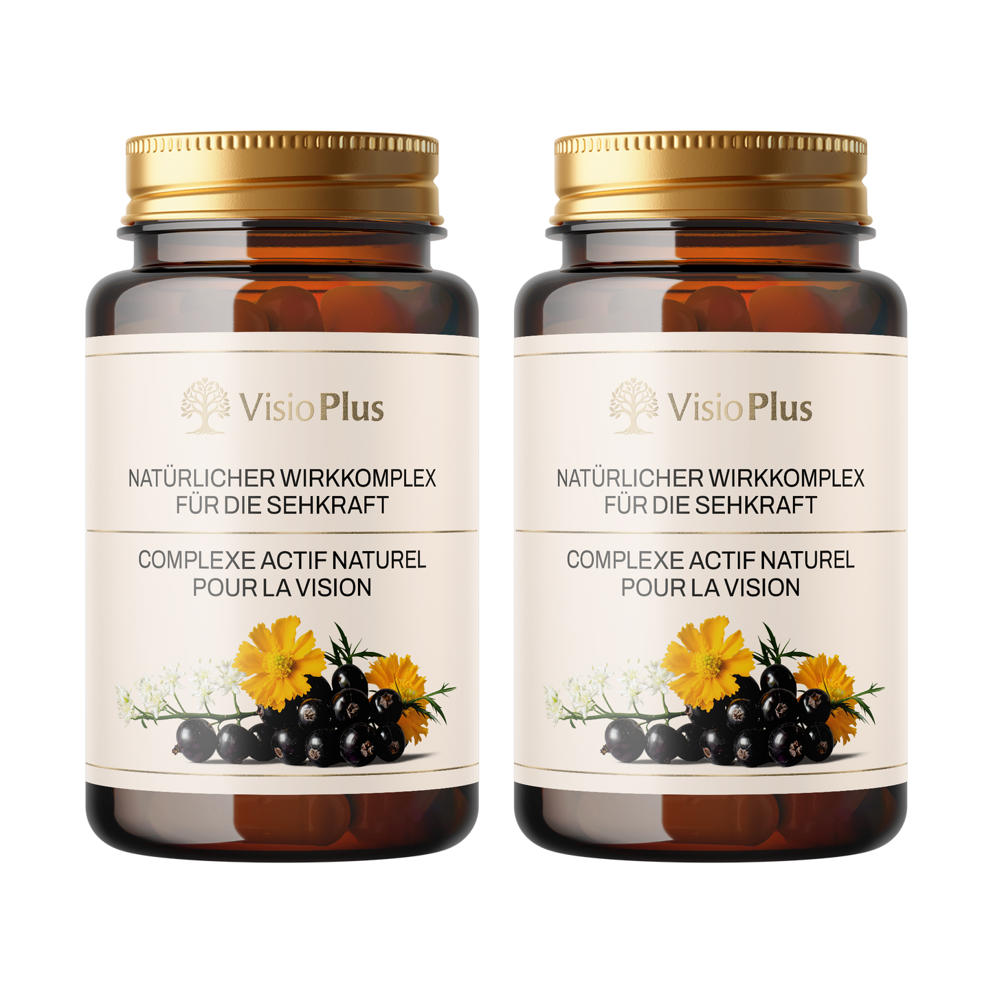 VisioPlus
