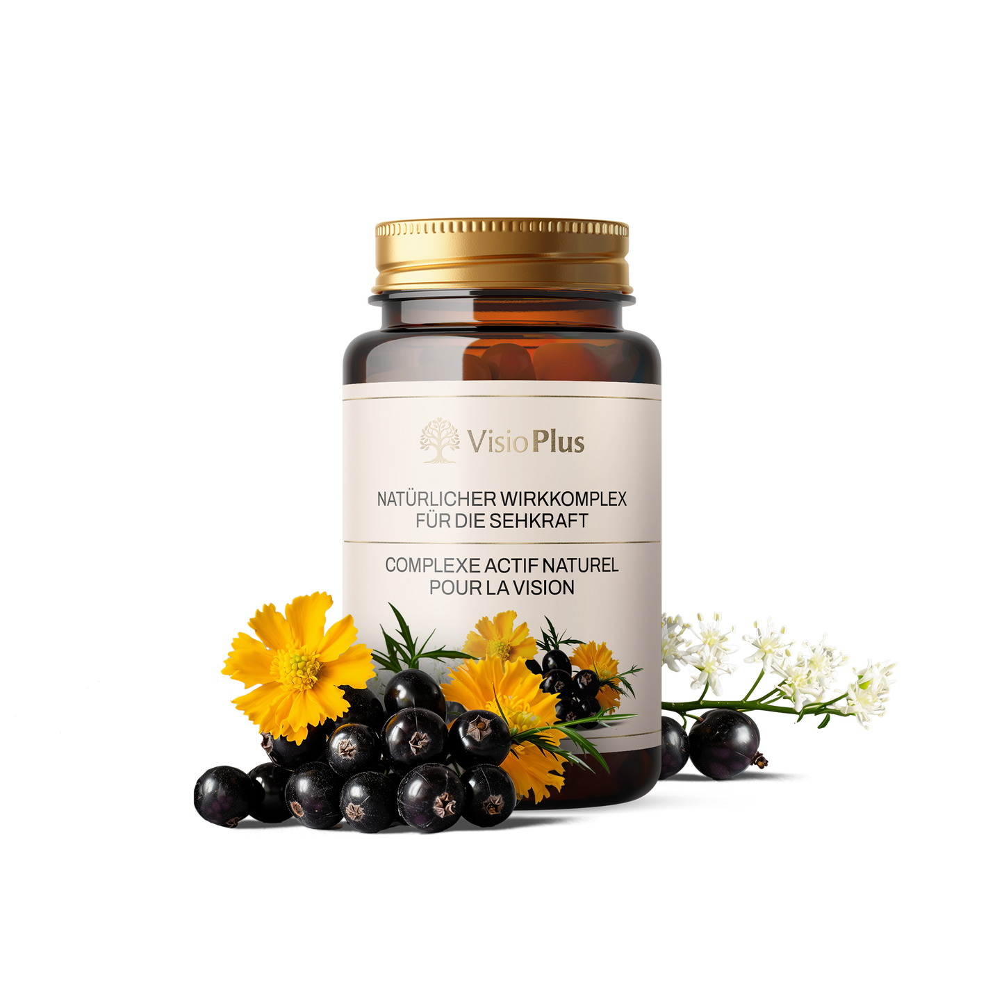VisioPlus